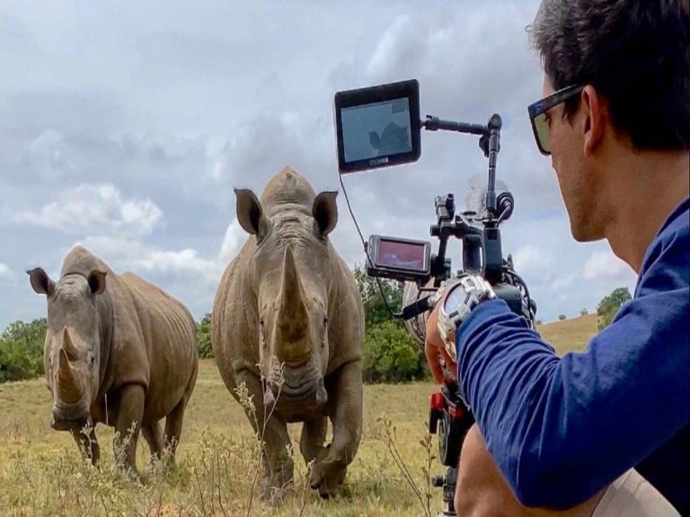 ఆ చిన్న‌మాట‌… అడ‌వి చుట్టూ తిరిగేలా చేసింది…