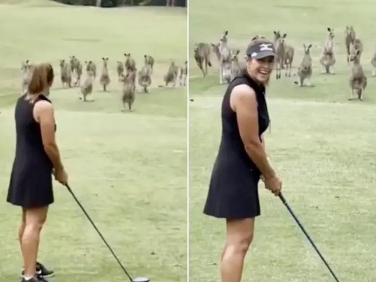 టీ గోల్ఫ్‌కు కంగారులు ఫిదా…