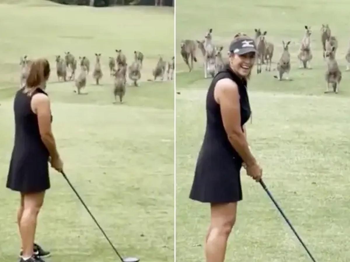 టీ గోల్ఫ్‌కు కంగారులు ఫిదా…