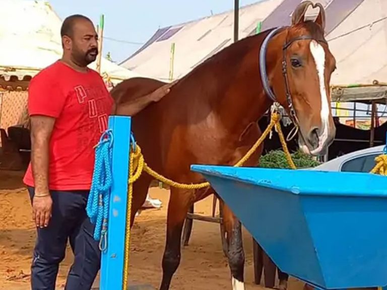 ఆ గుర్రానికి కోట్లు ఇస్తామ‌న్నా… నో చెబుతున్నారు… ఎందుకంటే…