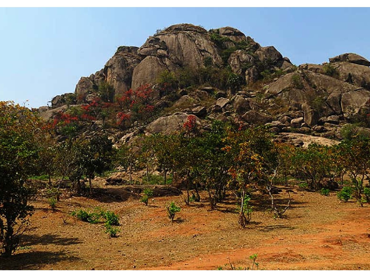 భూమండ‌లంపై తొలి బీచ్ అదే… ఆనంద్ మ‌హీంద్రా ట్వీట్‌…