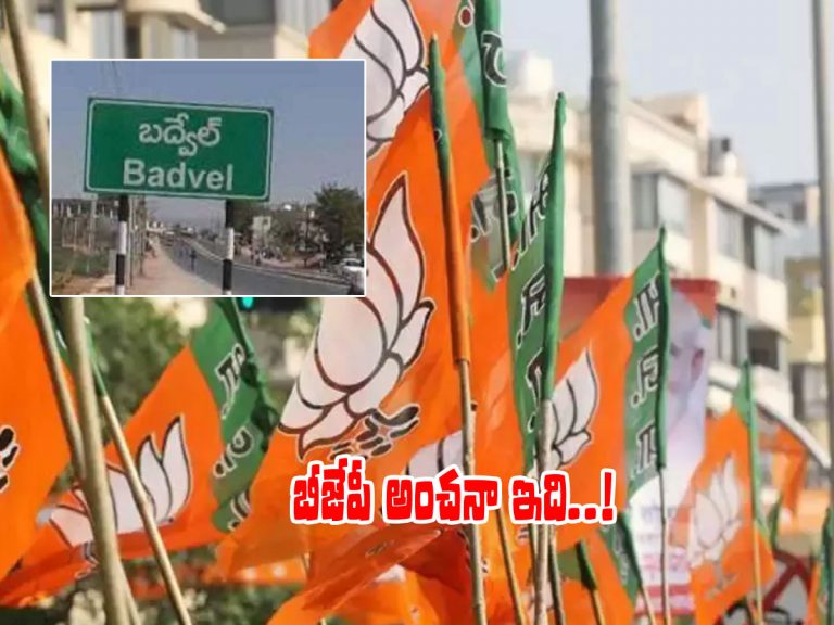 రేపే బద్వేల్‌ ఉప ఎన్నికల ఫలితం.. కమలనాథుల లెక్క ఇది..!