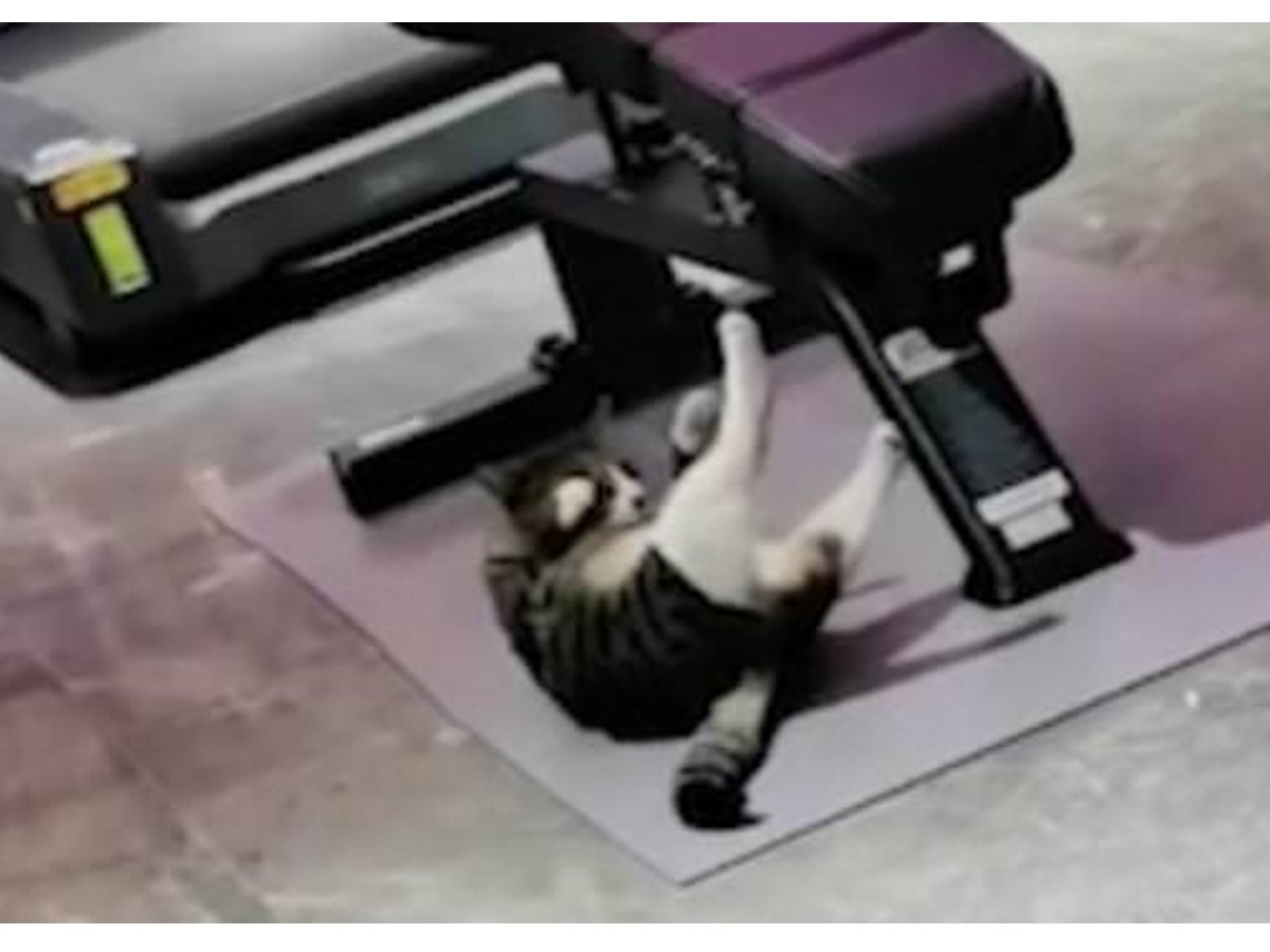 వైర‌ల్‌:  జిమ్‌లో పిల్లి… మ‌నుషుల‌కు ధీటుగా బాడీ బిల్డింగ్‌…