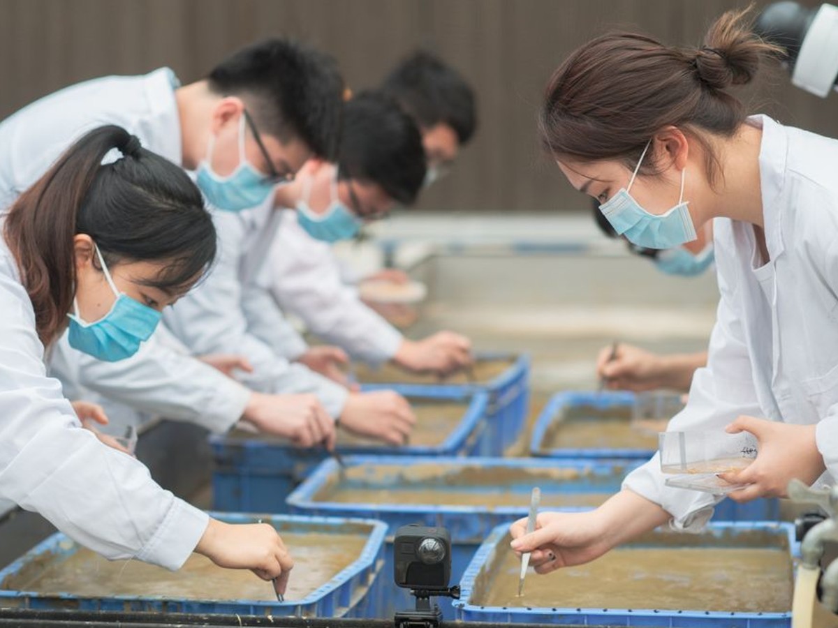 వ్య‌వ‌సాయ‌రంగంలో పెను మార్పులు… స్పేస్‌రైస్‌తో అధిక దిగుబ‌డులు…