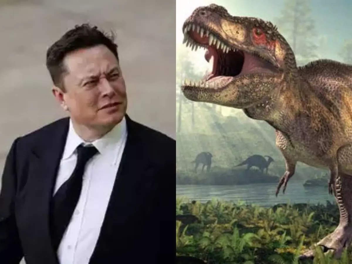 రాక్ష‌స‌బ‌ల్లుల‌ను నాశ‌నం చేసిన వాటిపై ప్ర‌తీకారం తీర్చుకోవాలి: ఎల‌న్ మ‌స్క్