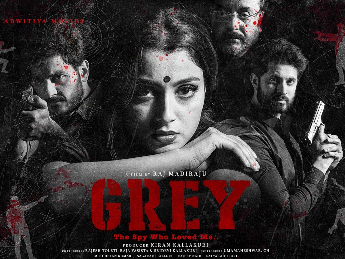 ప్రతాప్ పోతన్ కీలక పాత్రధారిగా ‘గ్రే’!