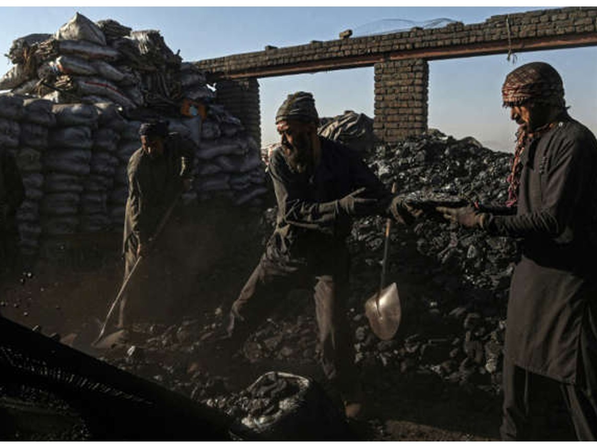 అధిక‌మొత్తంలో బొగ్గును కొనుగోలు చేస్తున్న ఆఫ్ఘ‌న్లు… ఎందుకంటే…