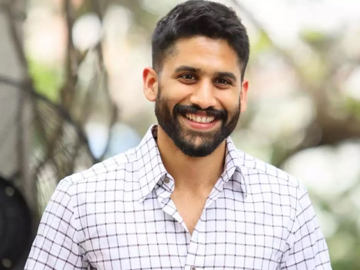 అతీంద్రియ శక్తులతో నాగచైతన్య హారర్ సీరీస్