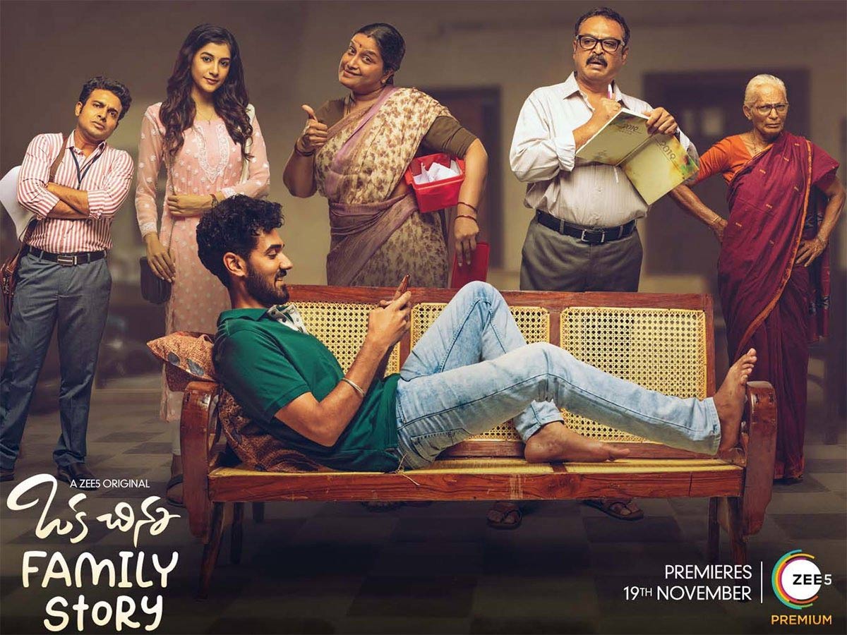 రివ్యూ: ఒక చిన్న ఫ్యామిలీ స్టోరీ (వెబ్ సీరీస్)