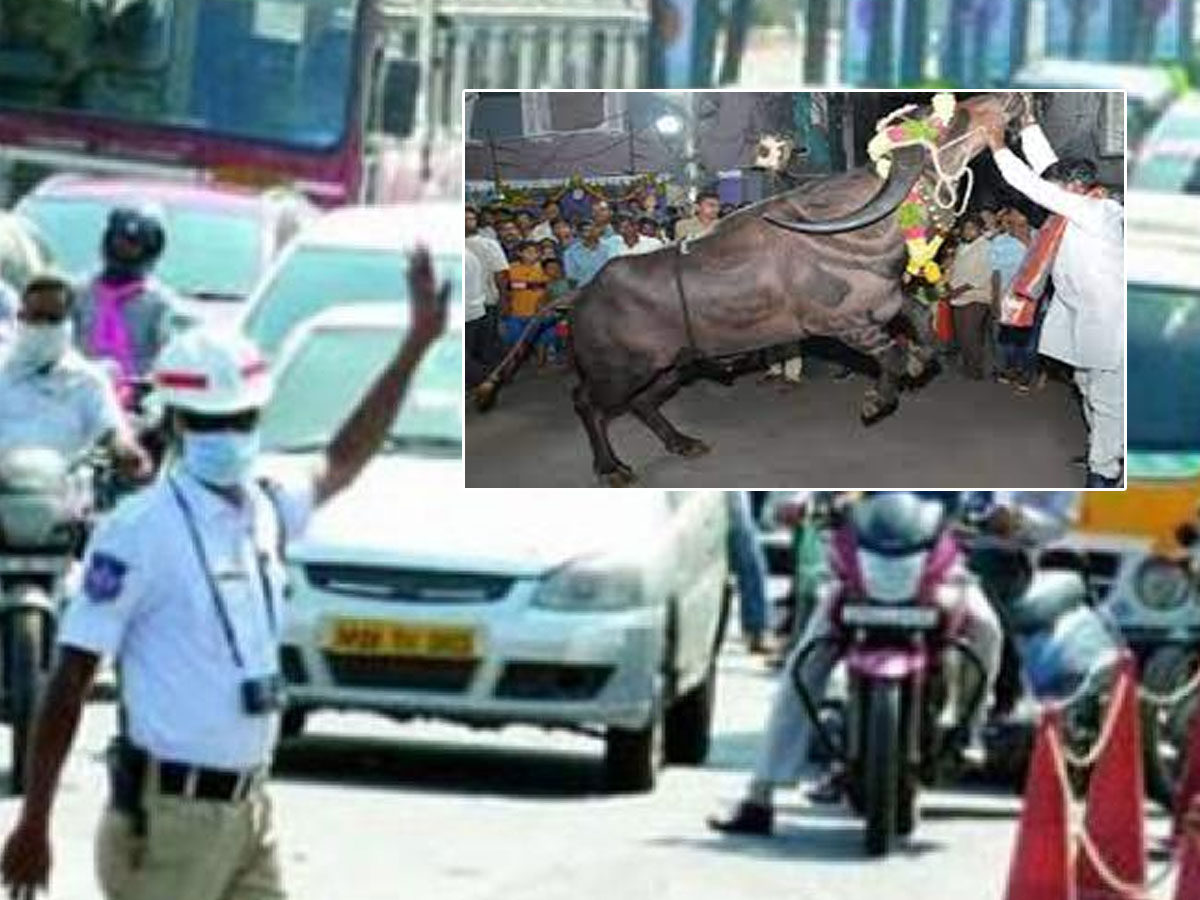 నేడు హైదరాబాద్‌లో ‘సదర్‌’.. ట్రాఫిక్‌ ఆంక్షలు.. ఆ రూట్లలో వెళ్తే అంతే..!