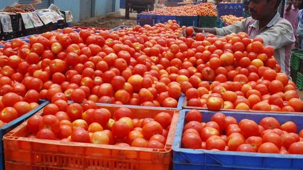 Tomato Price : లబోదిబోమంటున్న టమాటా రైతులు
