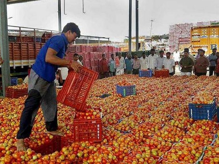 సెంచరీ కొట్టిన టమాటా ధర..