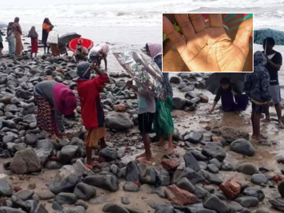 ఏపీలో సముద్ర తీరంలో బంగారం.. ఎగబడుతున్న జనం..!