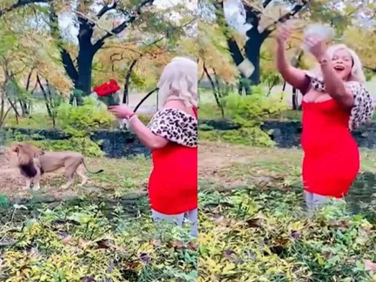 వైర‌ల్‌:  సింహంపై ప్రేమ‌తో ఎన్‌క్లోజ‌ర్‌లోకి దూకిన యువ‌తి… ఆ త‌రువాత‌…