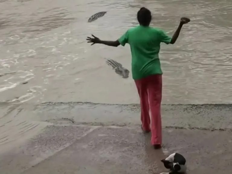 వైర‌ల్‌:  మొస‌లిని చెప్పుతో బెద‌ర‌గొట్టిన మ‌హిళ‌…సాహ‌సానికి నెటిజ‌న్లు ఫిదా…