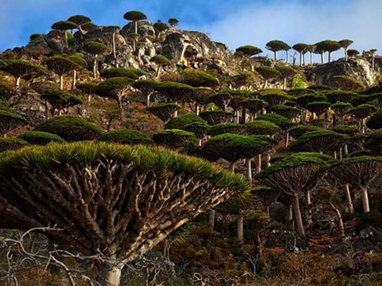 ప్ర‌పంచంలో త‌ప్ప‌క చూడాల్సిన ప్ర‌దేశాలు…