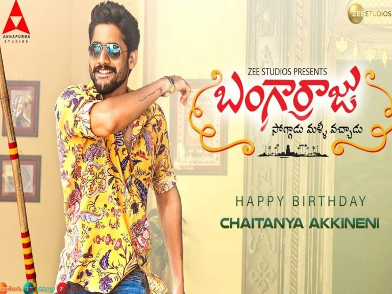 వాసివాడి తస్సాదియ్యా.. చిన ‘బంగార్రాజు’ ఎంట్రీ అదిరిపోయిందిగా..