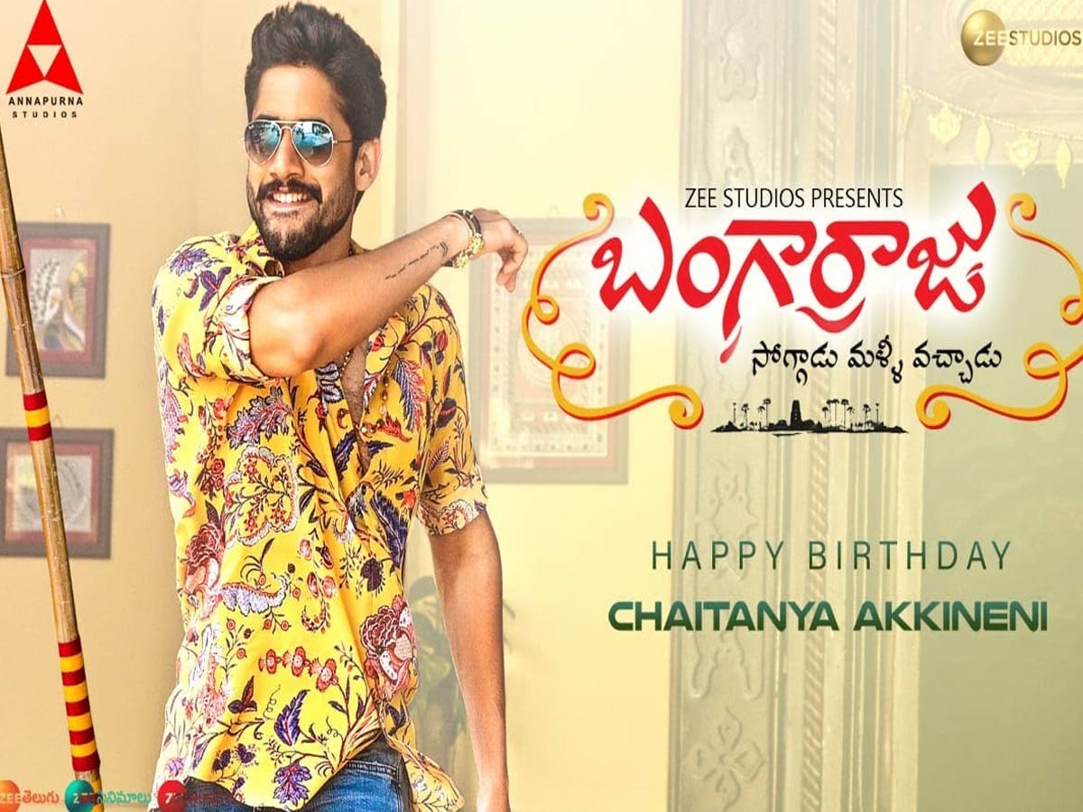 వాసివాడి తస్సాదియ్యా.. చిన ‘బంగార్రాజు’ ఎంట్రీ అదిరిపోయిందిగా..