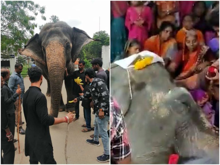 బోనాల సుధారాణి.. ఇకలేదు