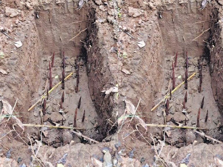 పోలీసులే లక్ష్యంగా మావోల బూబి ట్రాప్‌లు.. తృటిలో తప్పిన ప్రాణం