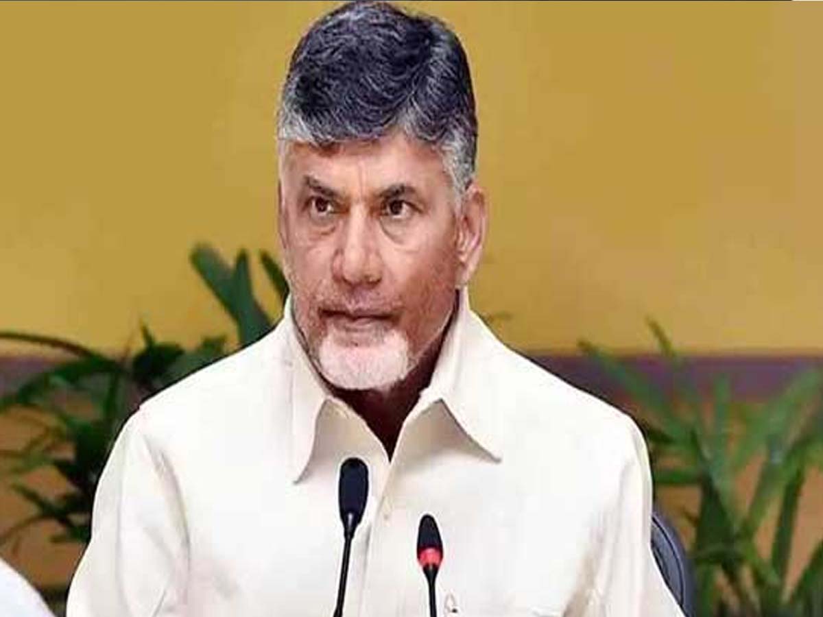 కష్టపడి పని చేసిన వారికే అవకాశాలు: చంద్రబాబు