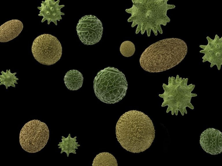 షాకింగ్ న్యూస్.. చైనాలో బయటపడ్డ మరో 18 ప్రమాదకర వైరస్‌లు