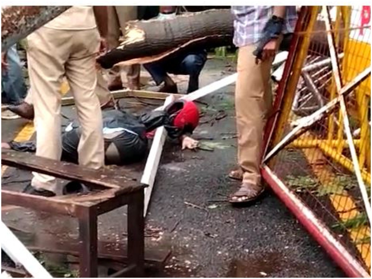 తమిళ సీఎం కార్యాలయ సమీపంలో కూలిన చెట్టు