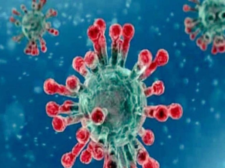 ప్రపంచ వ్యాప్తంగా 25 కోట్లకు చేరిన కరోనా కేసులు..