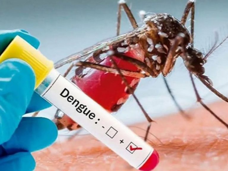 దేశవ్యాప్తంగా ‘డెంగీ’ డేంజర్ బెల్స్.. కేంద్రం అప్రమత్తం