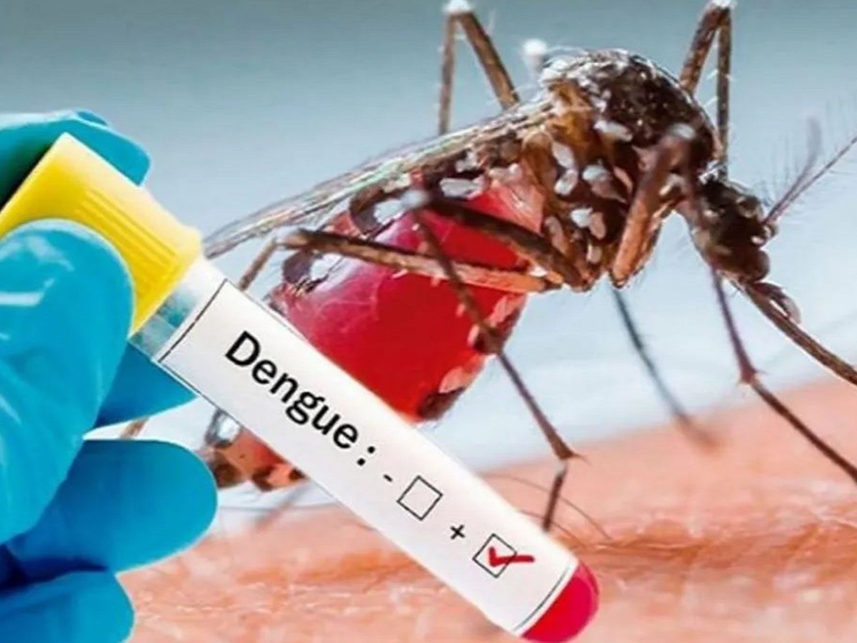 దేశవ్యాప్తంగా ‘డెంగీ’ డేంజర్ బెల్స్.. కేంద్రం అప్రమత్తం