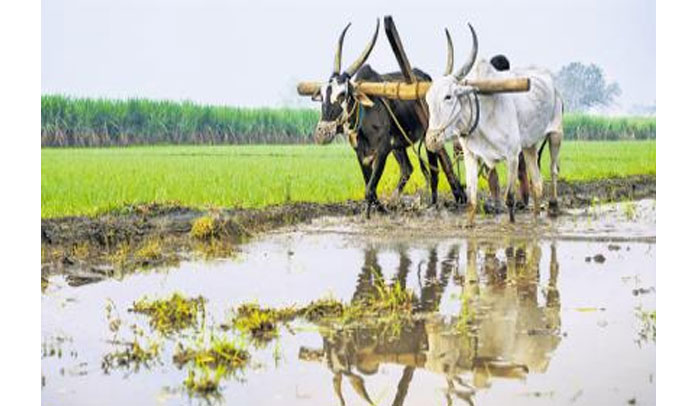 PM Kisan : రైతులకు గుడ్ న్యూస్.. పీఎం కిసాన్ తదుపరి విడత డబ్బులు పడబోతున్నాయ్