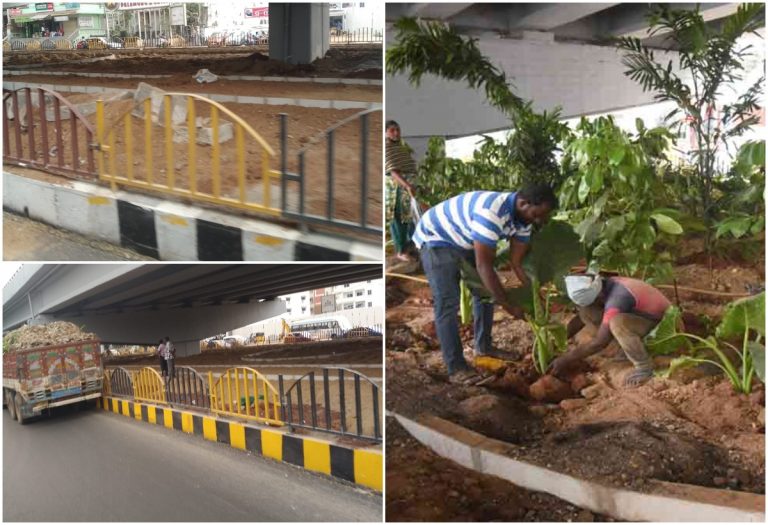 కాంక్రీట్ జంగిల్‌లో కనువిందైన పచ్చదనం