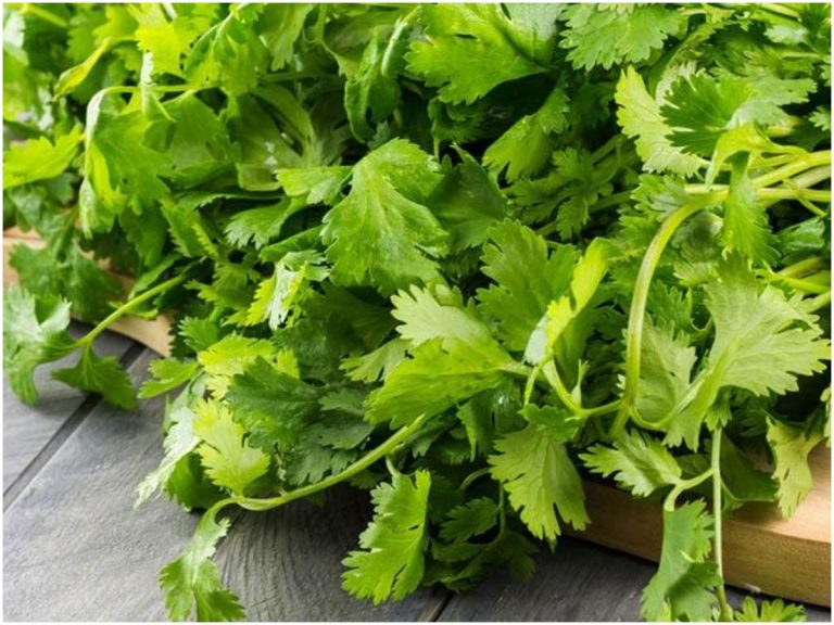 చలికాలంలో ఎలాంటి ఫుడ్ తీసుకోవాలి?