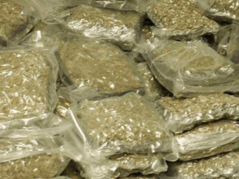 Drugs Case : పుష్పను మించుతున్న డ్రగ్స్‌ బ్యాచ్‌.. కొత్త తరహాలో స్మగ్లింగ్‌..