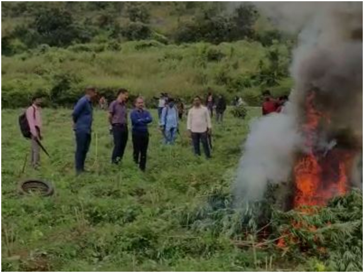 గంజాయి సాగు, రవాణా కట్టడే మా టార్గెట్