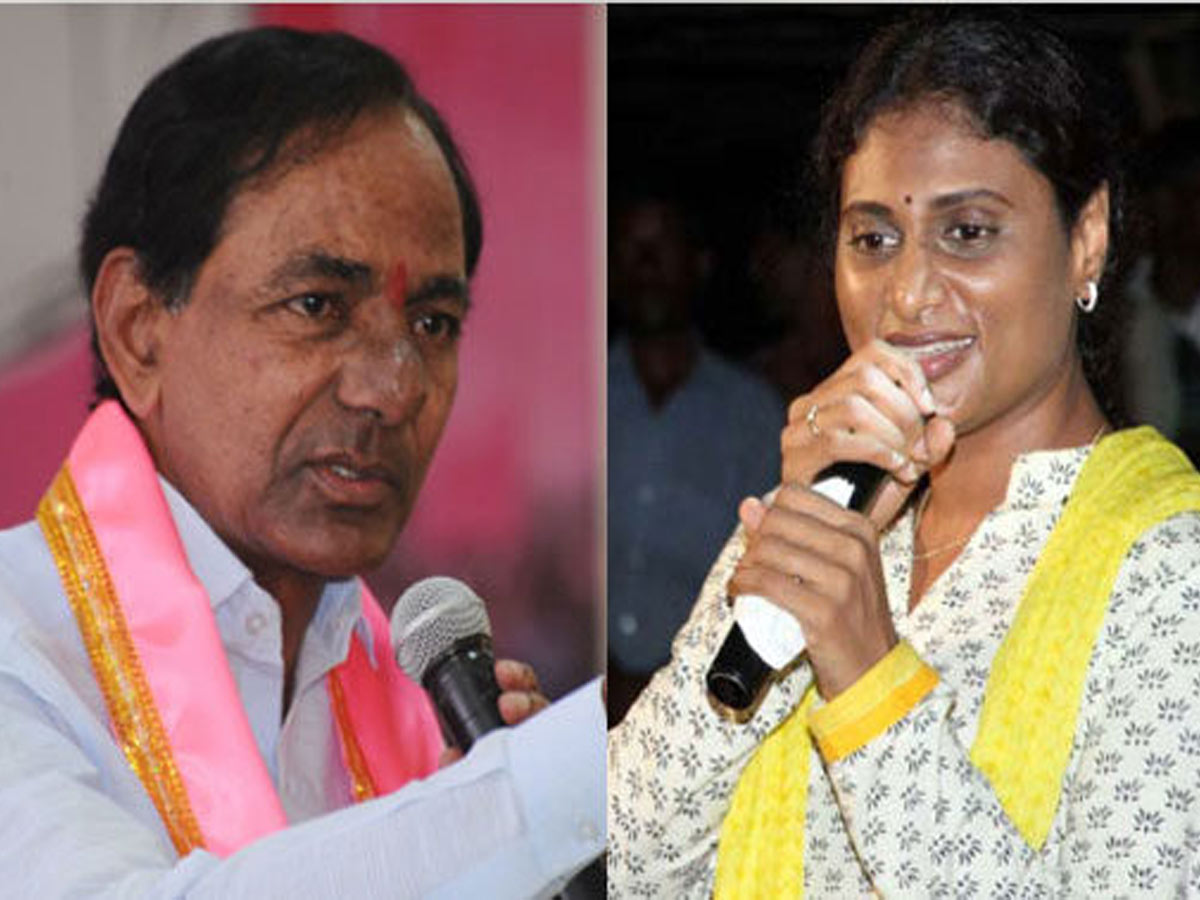 ఇంటికో ఉద్యోగమని… ఇంటికో తాగుబోతును తయారు చేశాడు : షర్మిల ఫైర్