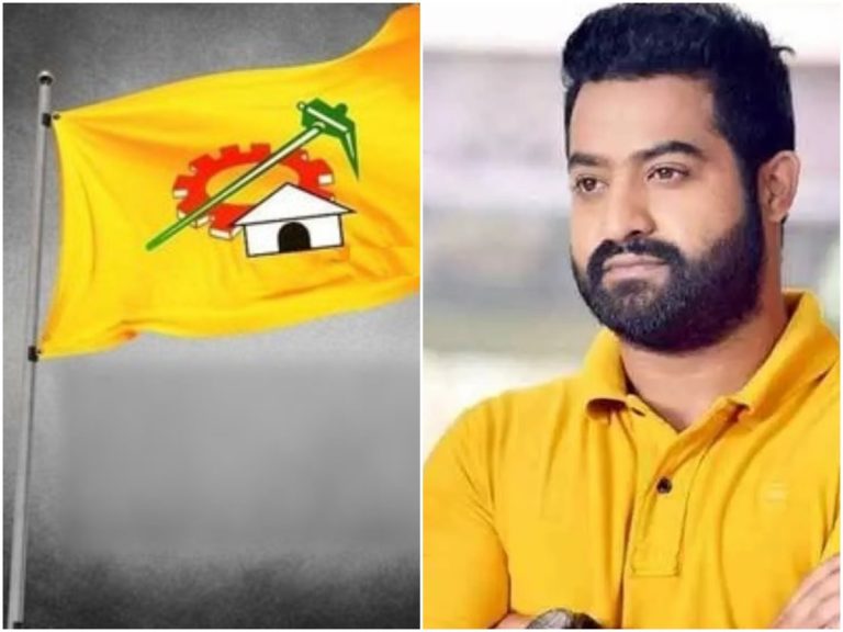 NTR Fans : మా హీరో ఏం చేశారు?.. ఏపీలో ప్రెస్ మీట్ పెట్టనివ్వలేదు!