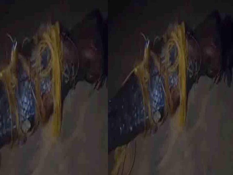 మైపాడు బీచ్ లో జలకన్య.. వీడియో వైరల్..?