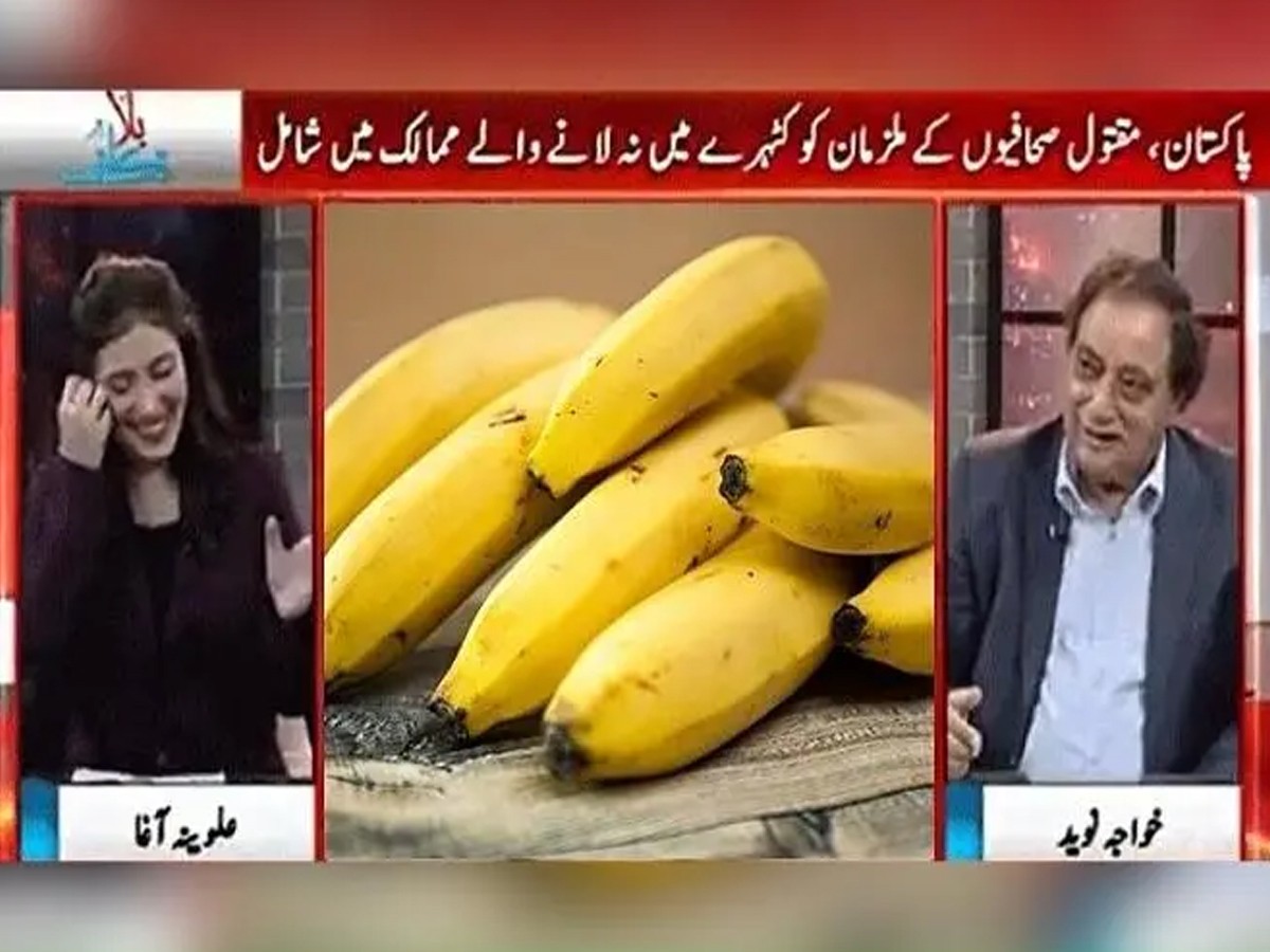 వైర‌ల్‌: పాక్ ఛాన‌ల్‌లో అర‌టిపండు చ‌ర్చ‌… ముంబై.. సింథ్‌లో ఏది పెద్ద‌ది…