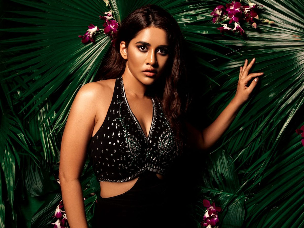 నభా నటేష్ సరికొత్త అందాలు…