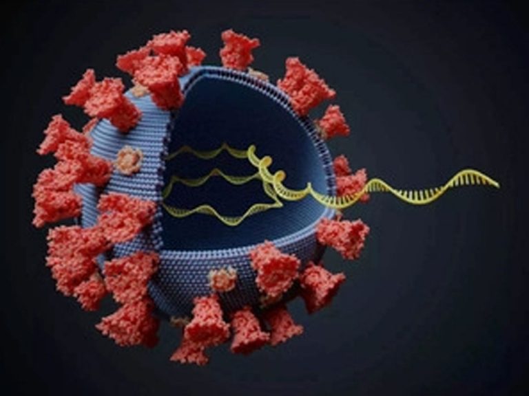 ఆ దేశాల నుంచి విమానాలు నిలిపివేయండి : కేజ్రీవాల్‌