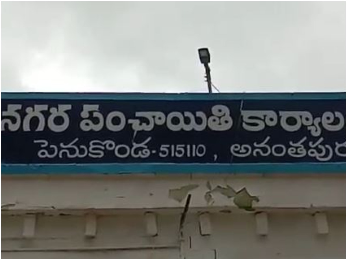 పెనుకొండలో వింత రాజకీయం: కౌన్సిలర్ బరిలో వాలంటీర్