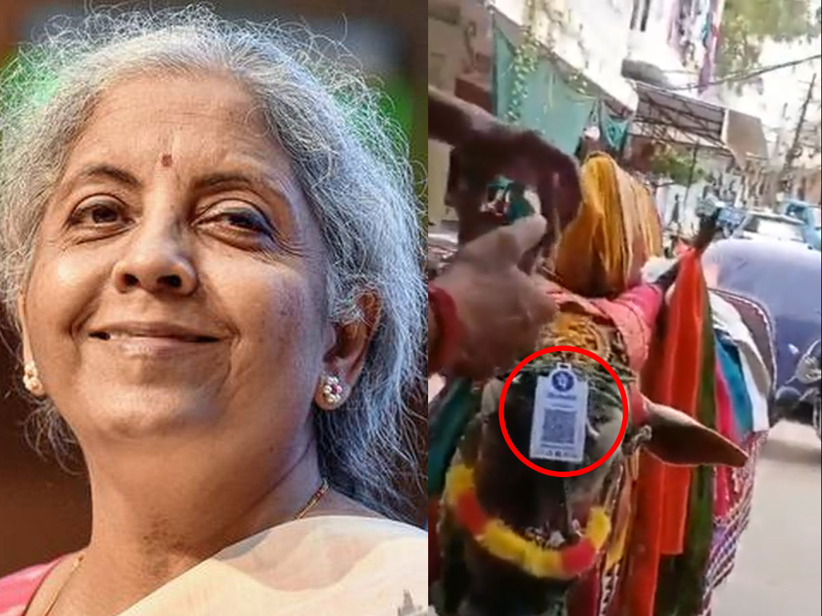 చెట్టులెక్కగలవా ఓ నరహరి.. గంగిరెద్దులకు ఫోన్‌ పే చేయగలవా.. వీడియో వైరల్‌