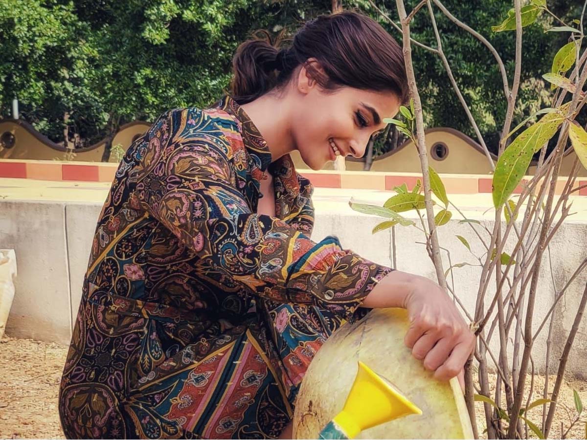 గ్రీన్ ఇండియా ఛాలెంజ్‌లో పూజా హెగ్డే