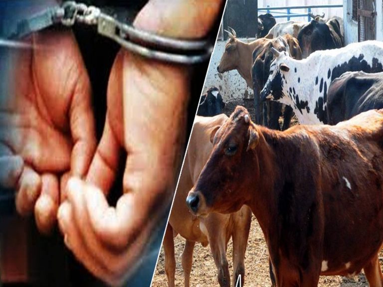 ఆవును కూడా వదలని కామాంధుడు.. బలవంతంగా…