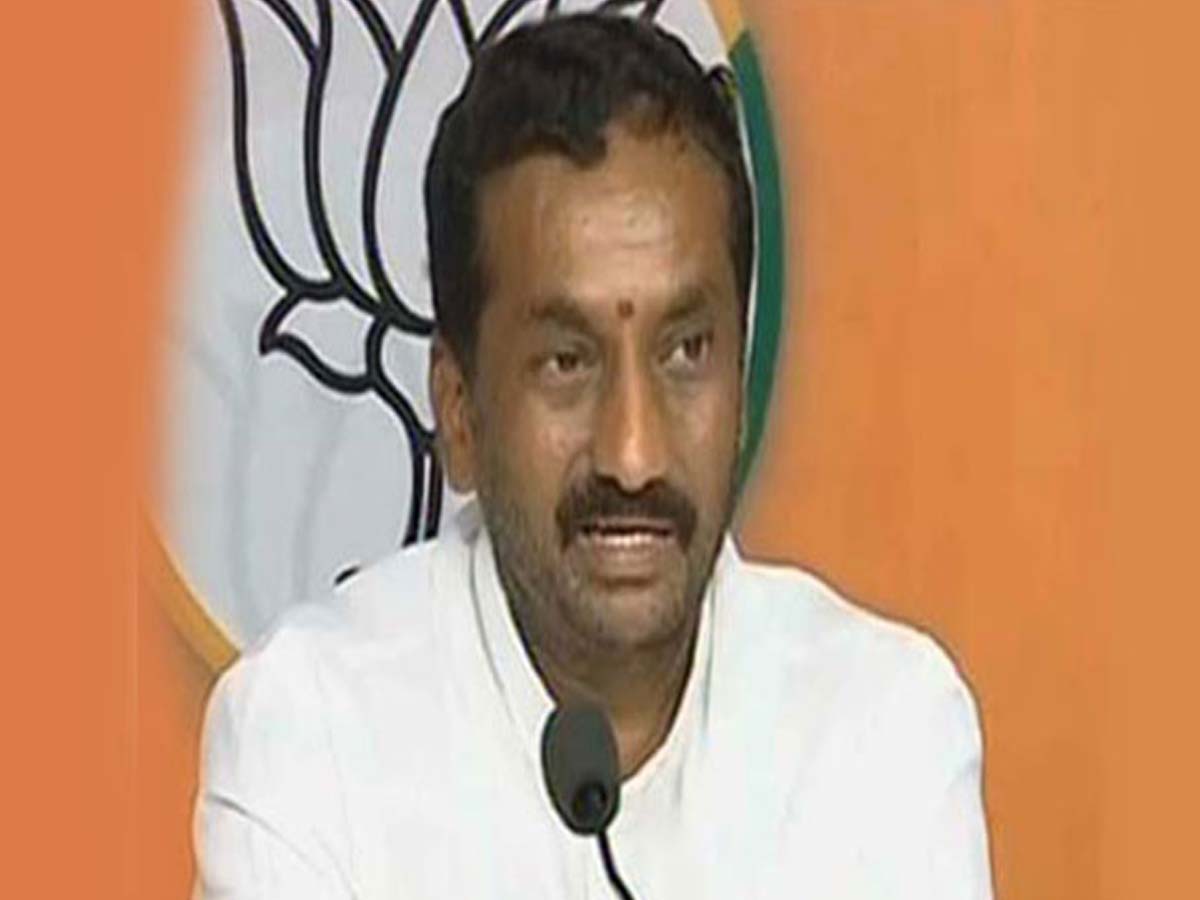 మేధావులు కేసీఆర్ భాషపై చర్చించాలి: రఘునందన్‌రావు