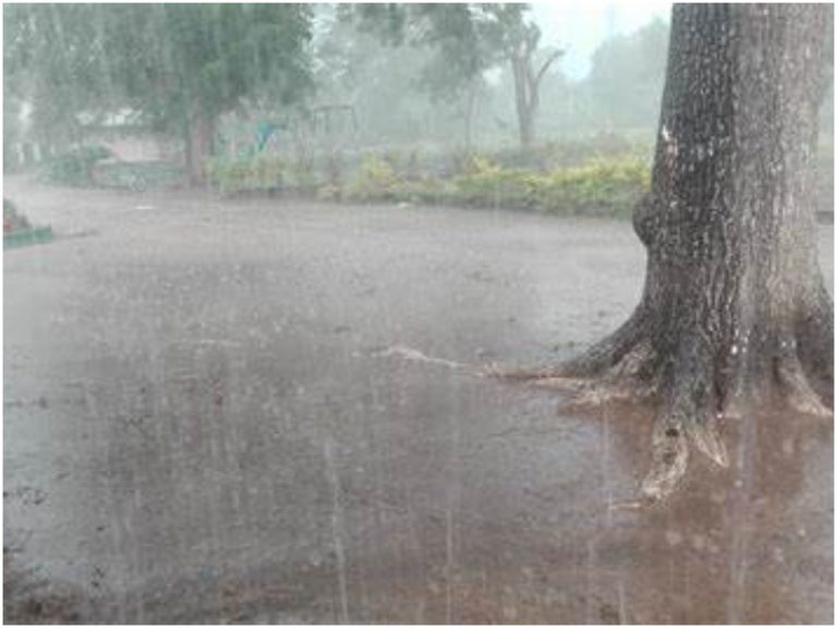 అండమాన్‌లో అలజడి.. మరోసారి ఏపీకి భారీ వర్షసూచన..