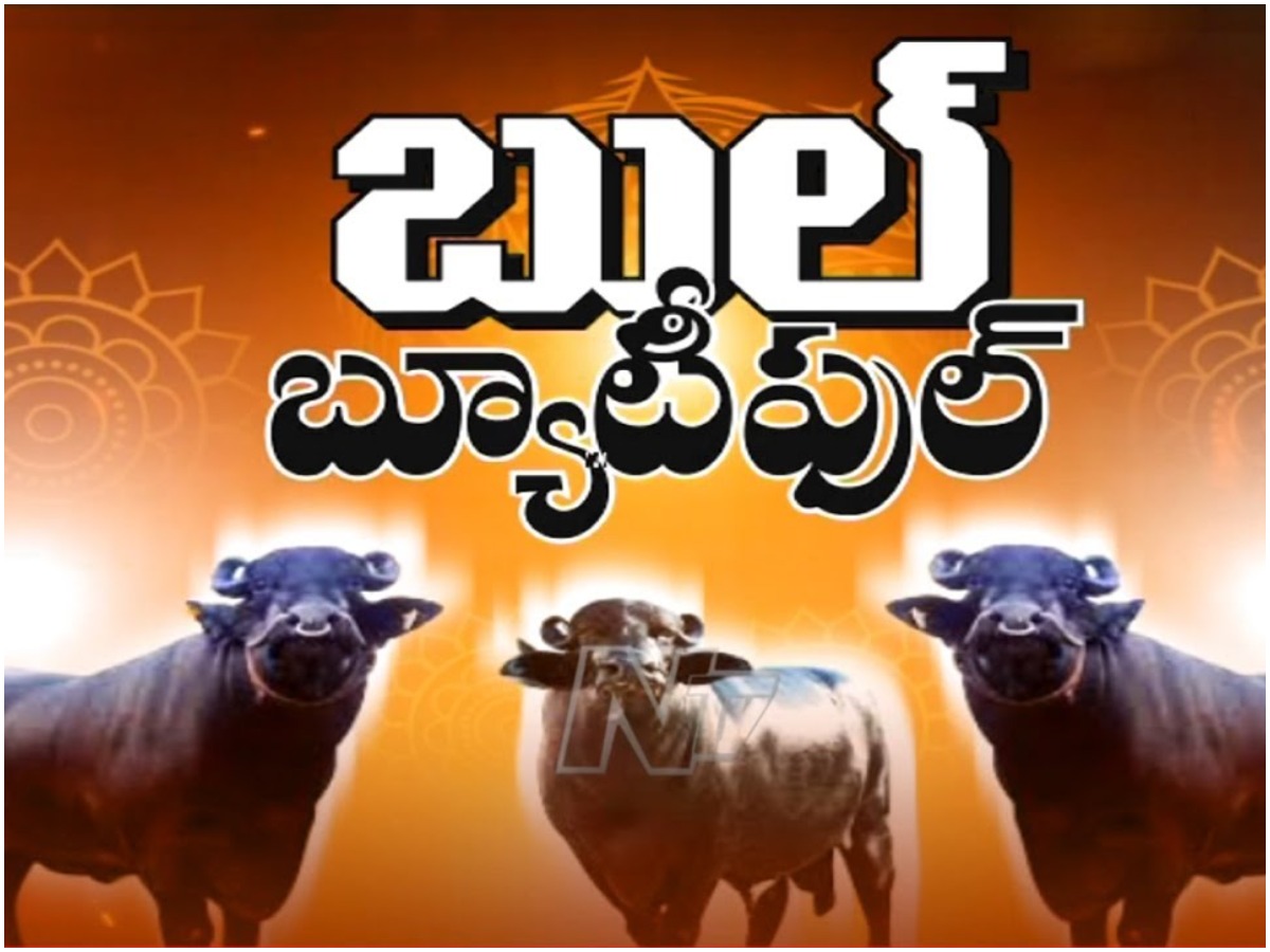 సదర్ ఉత్సవాలకు సర్వం సిద్ధం