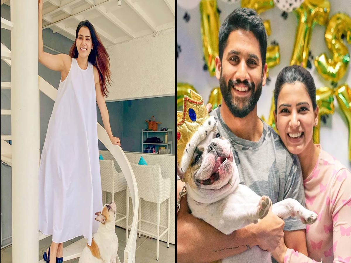 మరోసారి చైతన్య ఇంటికి సమంత..?