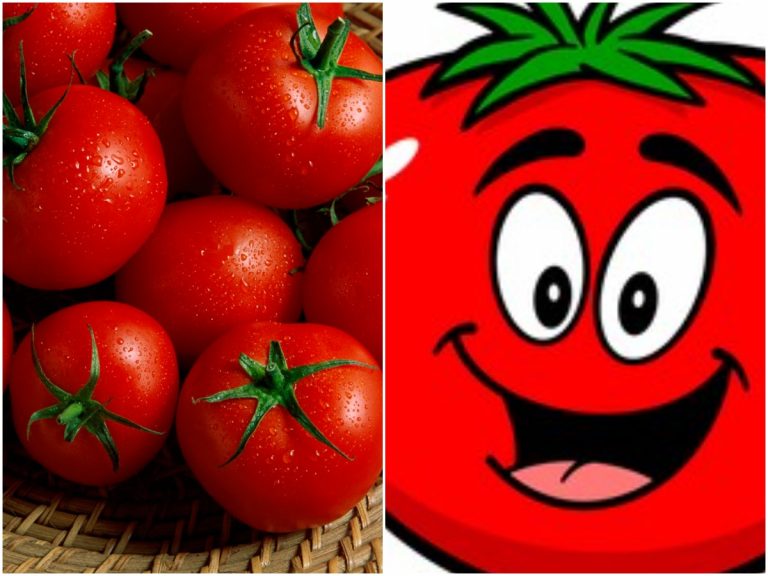 అమ్మో వద్దమ్మా…! పెట్రోల్ రేటుని దాటేసిన టమోటా